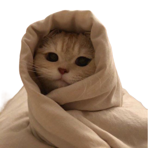 Cat wrapped in a blanket